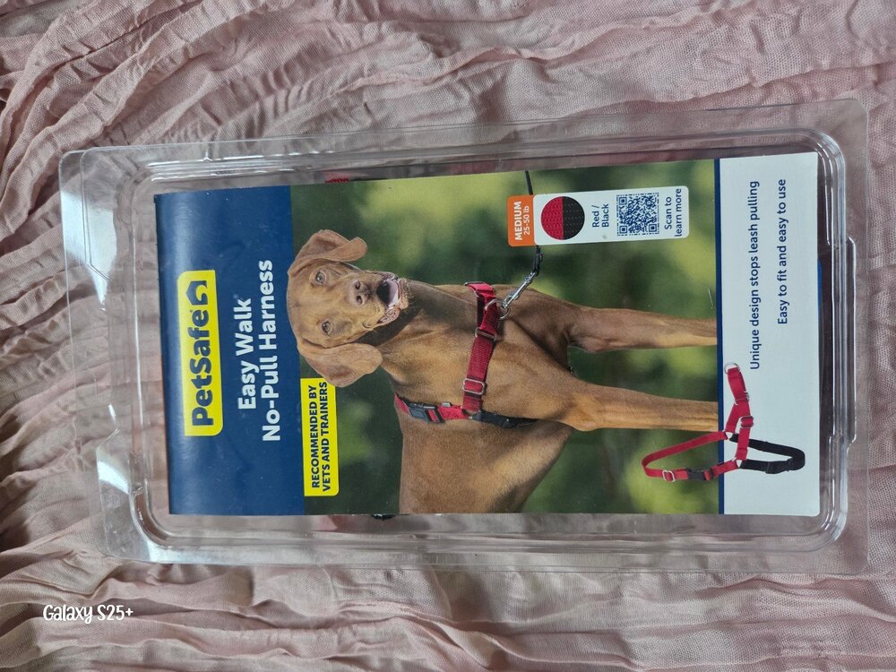 Dog harness